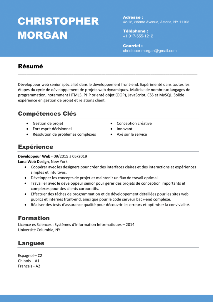 French Resume Translated by AI