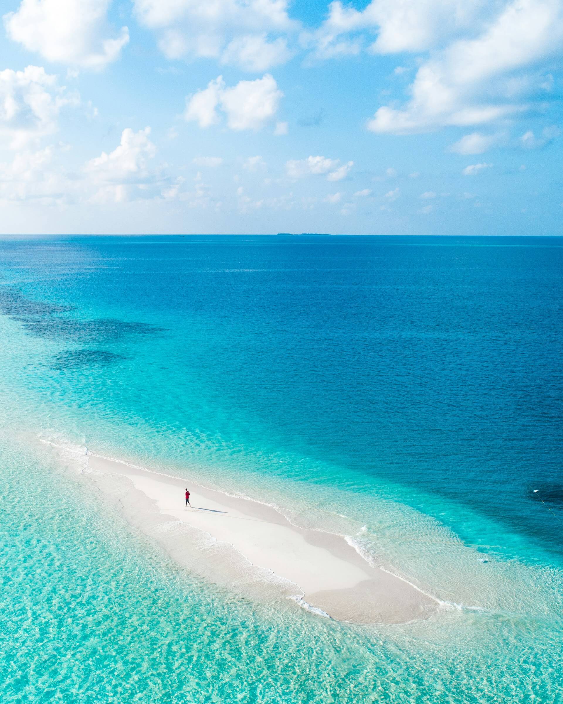 The rise of AI blue oceans