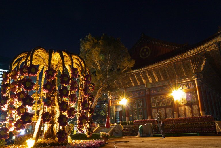 Jogyesa temple at night