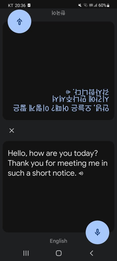 Google Translate Conversation Function